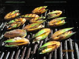 Mussels